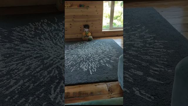 была фотосессия смотреть онлайн