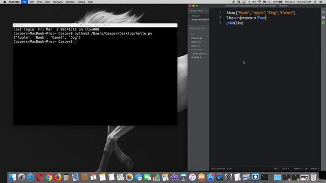 Using sort and reverse methods in python смотреть онлайн
