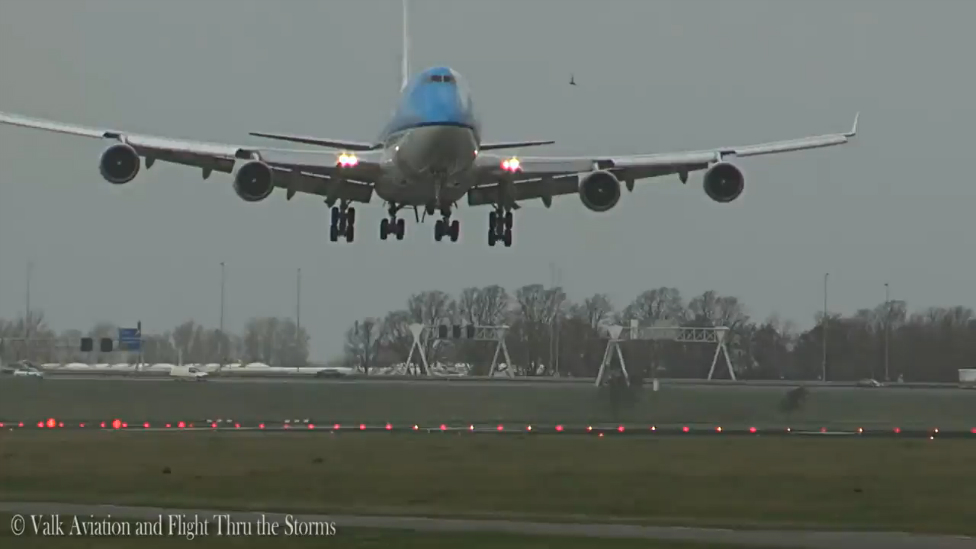 Птица столкнулась с самолётом смотреть онлайн