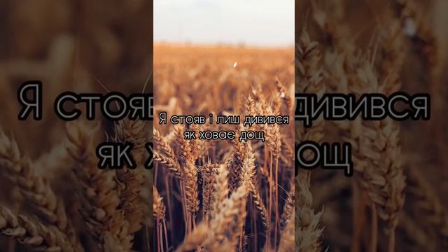 Океан Ельзи - Не питай (cover by annabell) смотреть онлайн