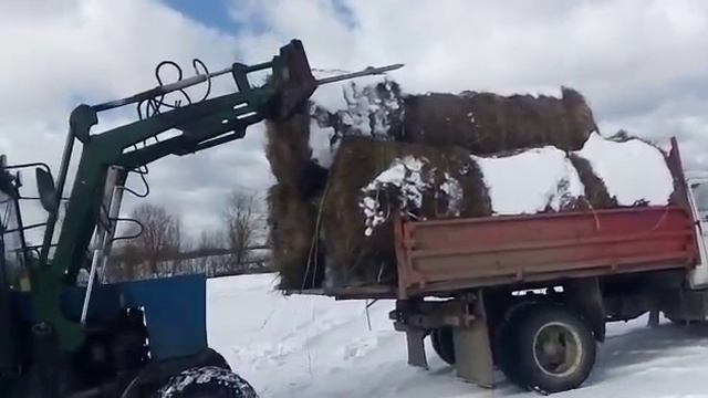 1 марта 2023 г. смотреть онлайн