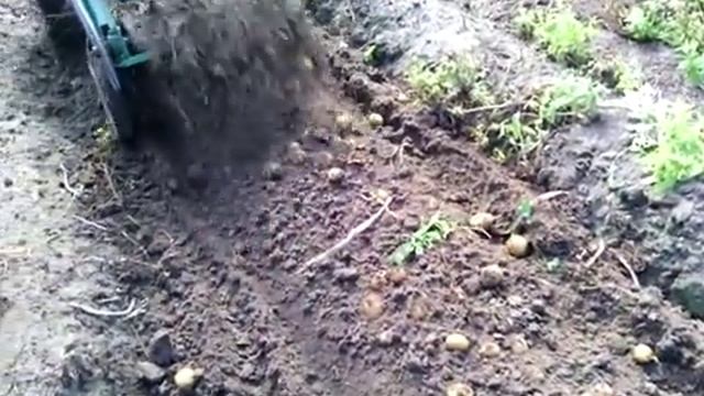 транспортерная картофелекопалка к мотоблоку смотреть онлайн