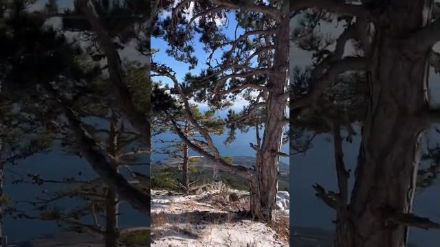 Крым 2022 Туаре-Эгерек 900м. над уровнем моря, Ялтинский горно-лесной природный заповедник смотреть онлайн