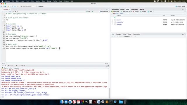[EN] Python: apply TensorFlow Lite model on your data смотреть онлайн