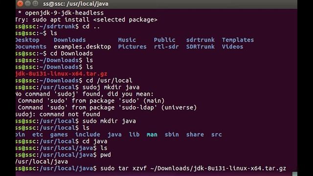 Java JDK Install for SDRTrunk on Ubuntu Linux смотреть онлайн