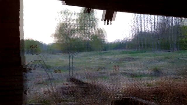 #тх 850 металлокоп - копнул монету смотреть онлайн