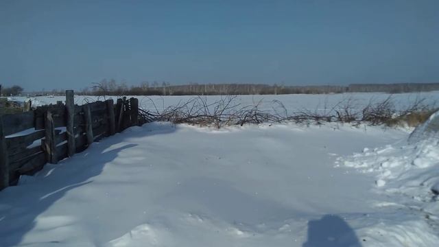 ЖИЗНЬ ВНЕ ГОРОДА. Питьевая вода. смотреть онлайн