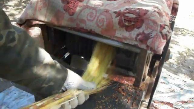 Очистка стеблей сорго от семян смотреть онлайн