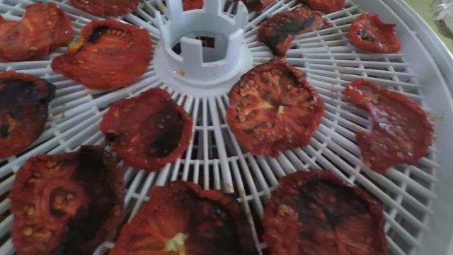 Рецепты зимних помидоров