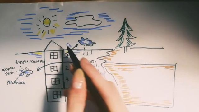 5 класс. Биология. Жизнь в морях и океанах. Видеоурок. смотреть онлайн