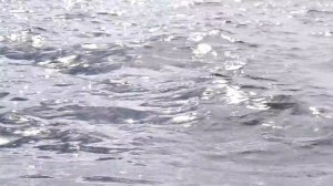 Путешествие под парусом по Белому морю | Яхта Аргоша за Полярным Кругом. Часть 1