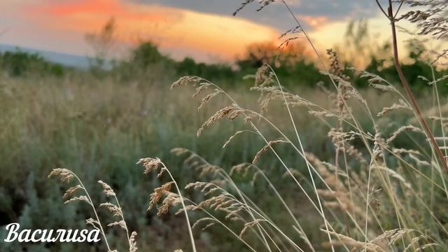 24 июня народный праздник Варфоломеев день. Что нельзя делать.Народные традиции и приметы и суевери смотреть онлайн