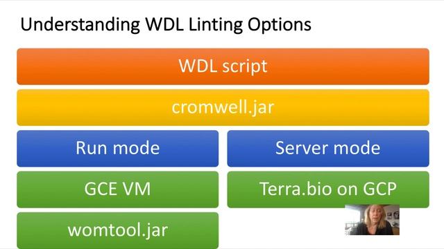 Linting WDL Scripts смотреть онлайн