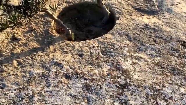 Последний день лета смотреть онлайн