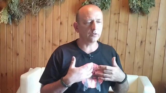 Чакры и органы