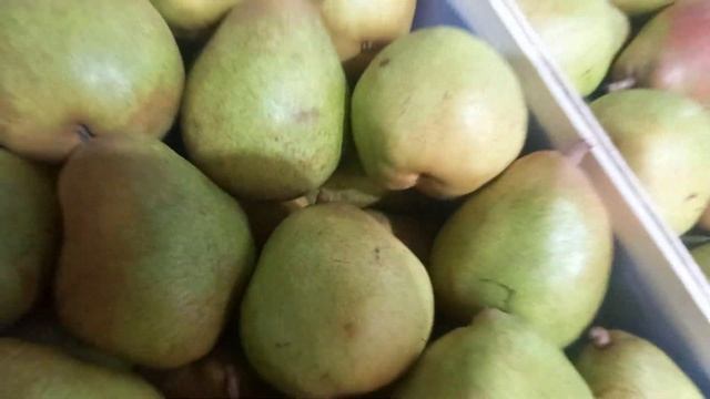 9 ноября 2021г Цена на Груша, рынок Фуд - Сити, моя любимая рынок красава и богато ??????????? смотреть онлайн