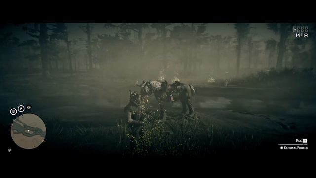 Red Dead Redemption 2 - Cardinal Flower Locations (Cycle 5) смотреть онлайн