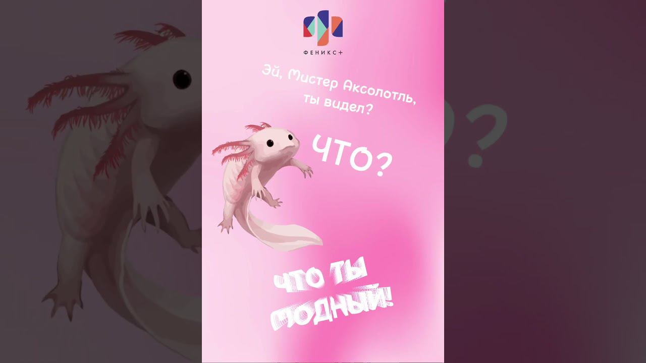 АКСОЛОТЛЬ в ФЕНИКС+ #обзор #school #art смотреть онлайн