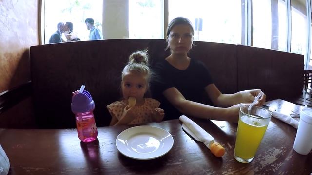 Майамская ШАВЕРМА. Ресторан Восточной кухни в Майами смотреть онлайн