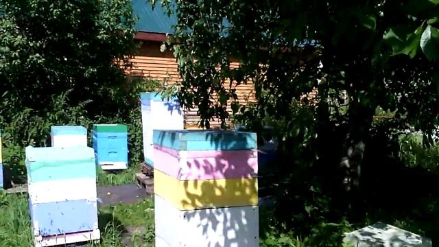 Рой вышел и потом зашел смотреть онлайн