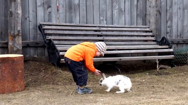 Неправильный белый кролик