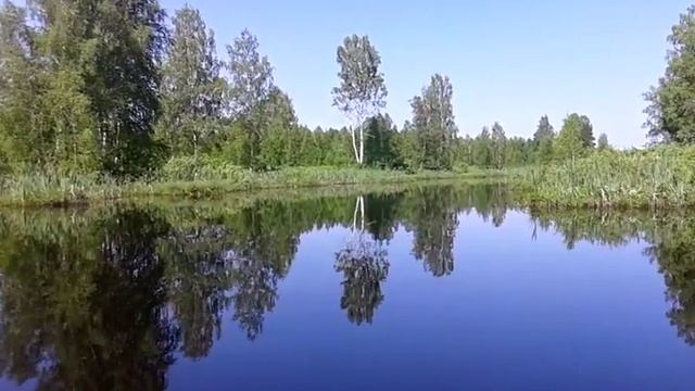 Прогулка по озеру. Стихи от дяди Вовы. смотреть онлайн