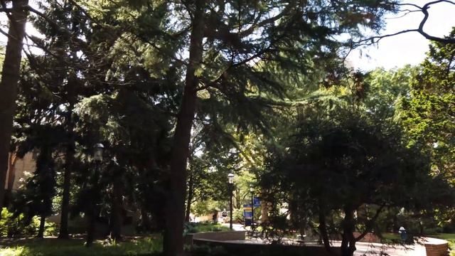 Welcome to the Hofstra Arboretum смотреть онлайн
