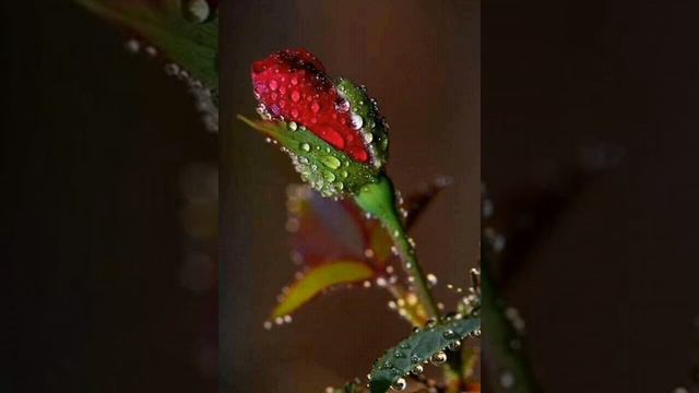 761 Иисус моя любовь❤ смотреть онлайн