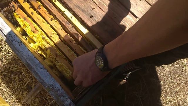 ВЗЯТОК С ПОДСОЛНУХА 2020 !!! смотреть онлайн