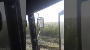 Беларусь. Мтз 80. Роторный косилка.