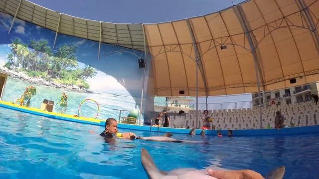 Семейное плавание с дельфинами в дельфинарии Витязево. Подводные съемки 2017. смотреть онлайн