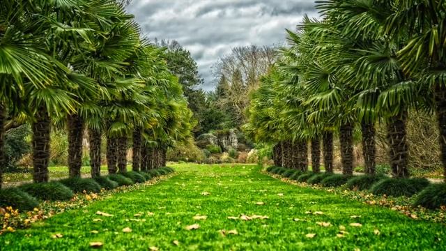 Подсознание и Ваше Счастье! Мэрфи Джозеф смотреть онлайн