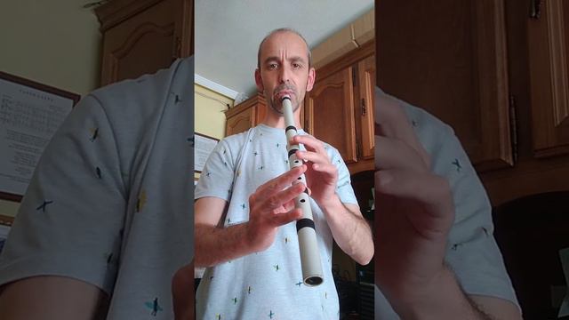 Xiao Chino / Shakuachi / Quena Andina