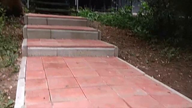 Прогулки на пенсии: Гербарий   мальва