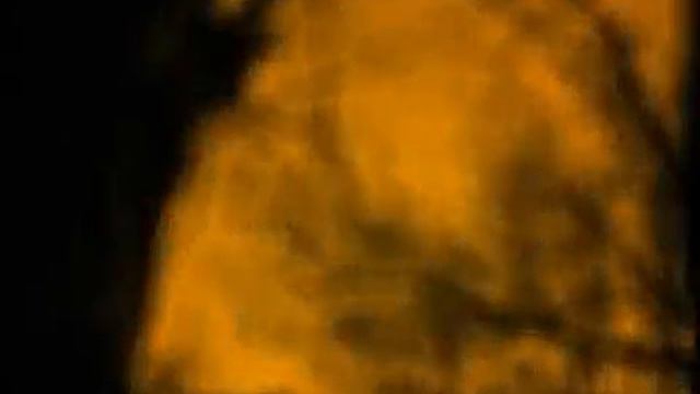 Вот та фак) смотреть онлайн