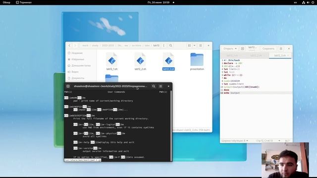 Lab12 смотреть онлайн