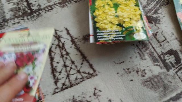 Лучшие семена цветов сезона 2019г. Что садим на следующий год.