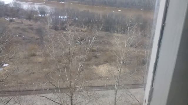 Дети жгут траву смотреть онлайн