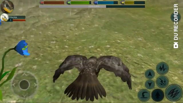 Обзор 1-ой части игры Ultimate Bird Simulator смотреть онлайн