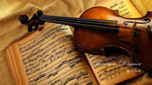 Bach Toccata In D Minor | VIOLIN | INSTRUMENTAL |