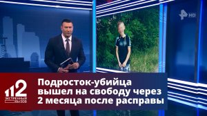 Нижегородцы опасаются гуляющего на свободе 13-летнего школьника-убийцу