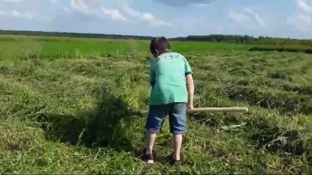 Прошла Никуся комиссию,посадили помидоры смотреть онлайн