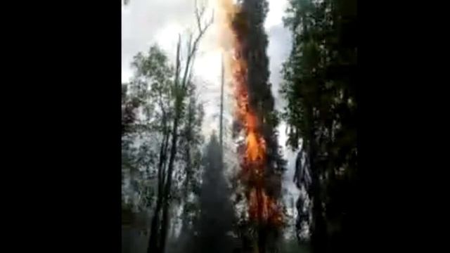 Краткое знакомство с работой десантников-пожарных! смотреть онлайн