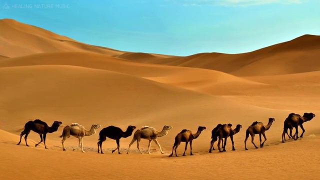 Doctor Chillax Arabian Music 4K Meditation in Desert Part 4, Arabian Violin & Arabian Nights смотреть онлайн