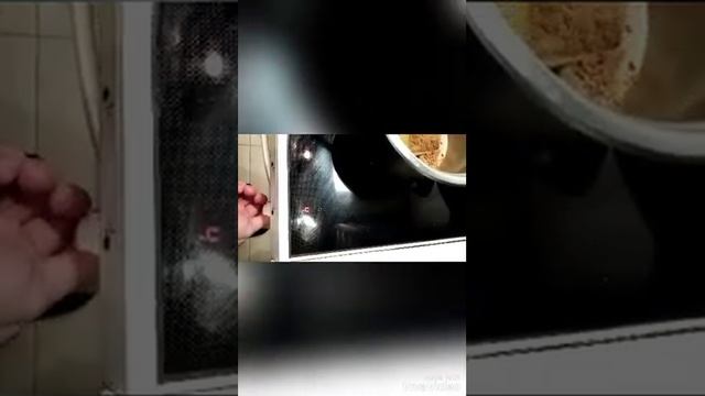 Живая Кухня