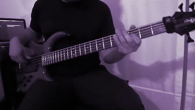 Cynic -How Could I //Playthrough Bass // dsm noisemaker // dunlop string flatwound смотреть онлайн