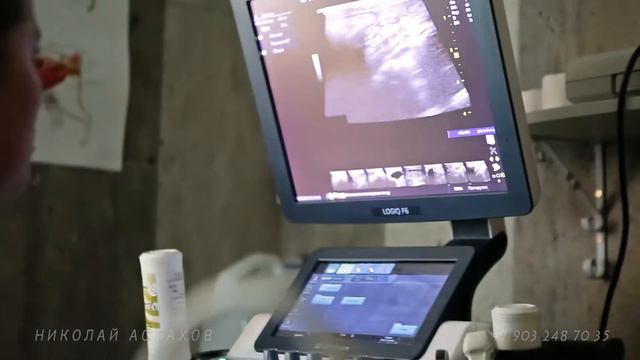 Ветеринарный центр Dr.Hug .Реклама. смотреть онлайн