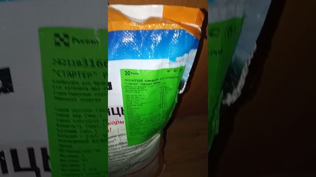 Малыши лакеданзи,вылуп. смотреть онлайн