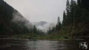 Убийственная наживка для рыбы. Рыбалка при выживании.mp4