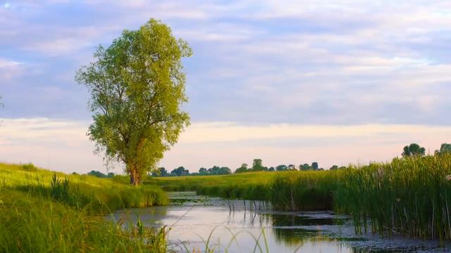 Релакс музыка красивая и успокаивающая для отдыха и настроения смотреть онлайн